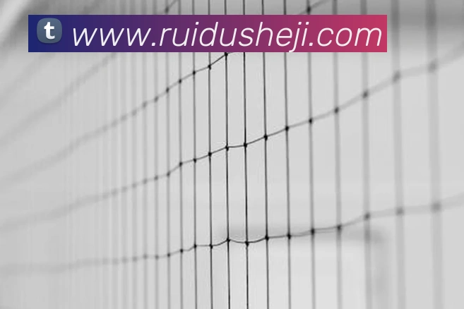 多媒体互动体验